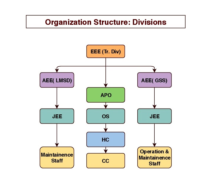 Organization Structure: Divisions